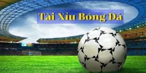 Hướng Dẫn Chơi Kèo Tài Xỉu Hiệu Quả Với Tylecacuoc.me